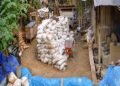 LSM BUMI Soroti Pengolahan Gelundung Milik Wandi Desa Bunut Sebrang